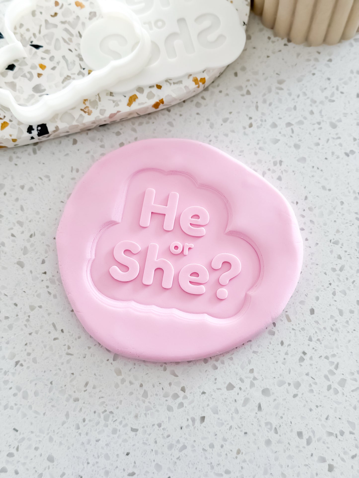 He or She? Stamp & Cutter - Perfect for Fondant & Sugar Cookies
