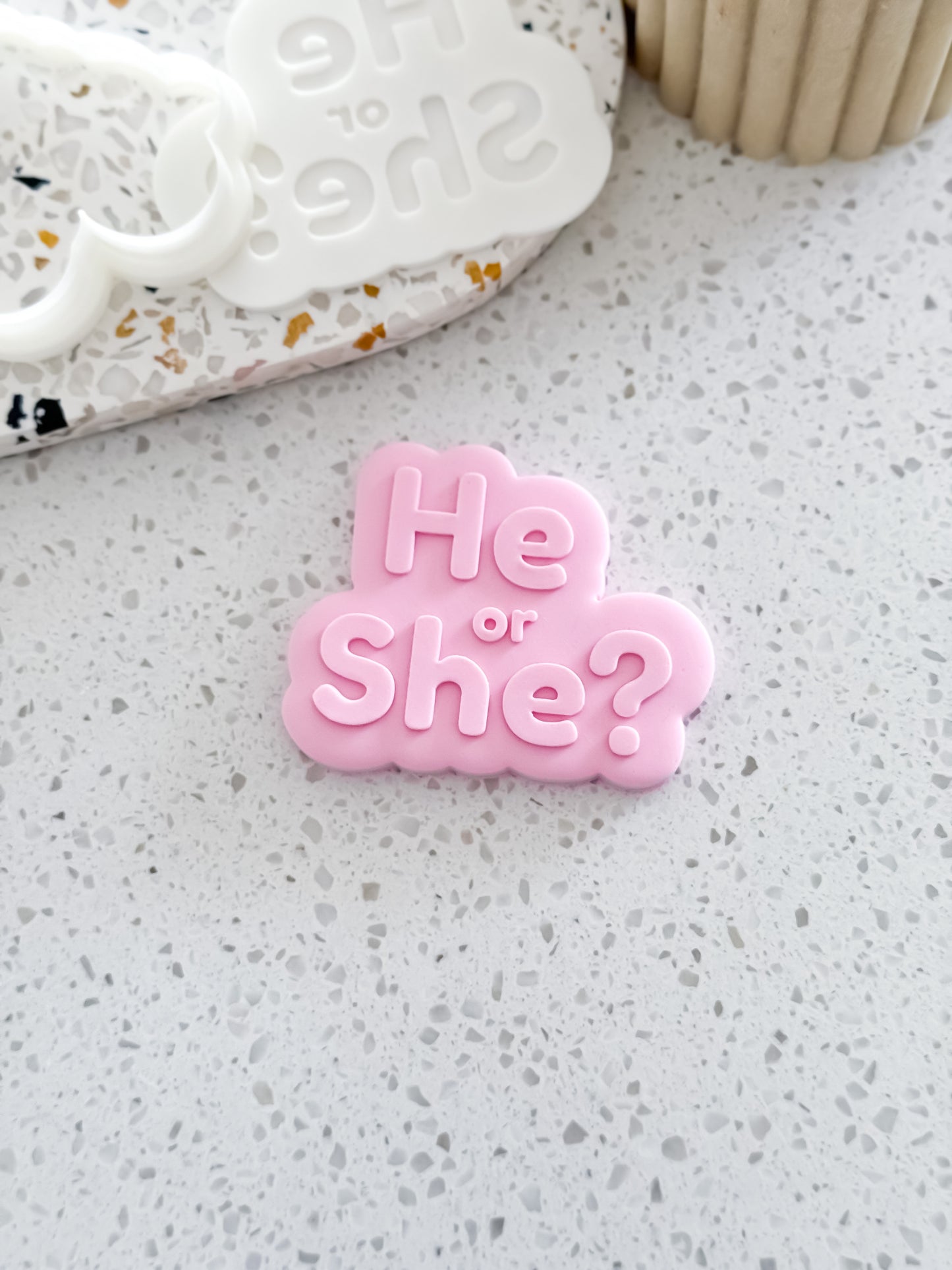 He or She? Stamp & Cutter - Perfect for Fondant & Sugar Cookies