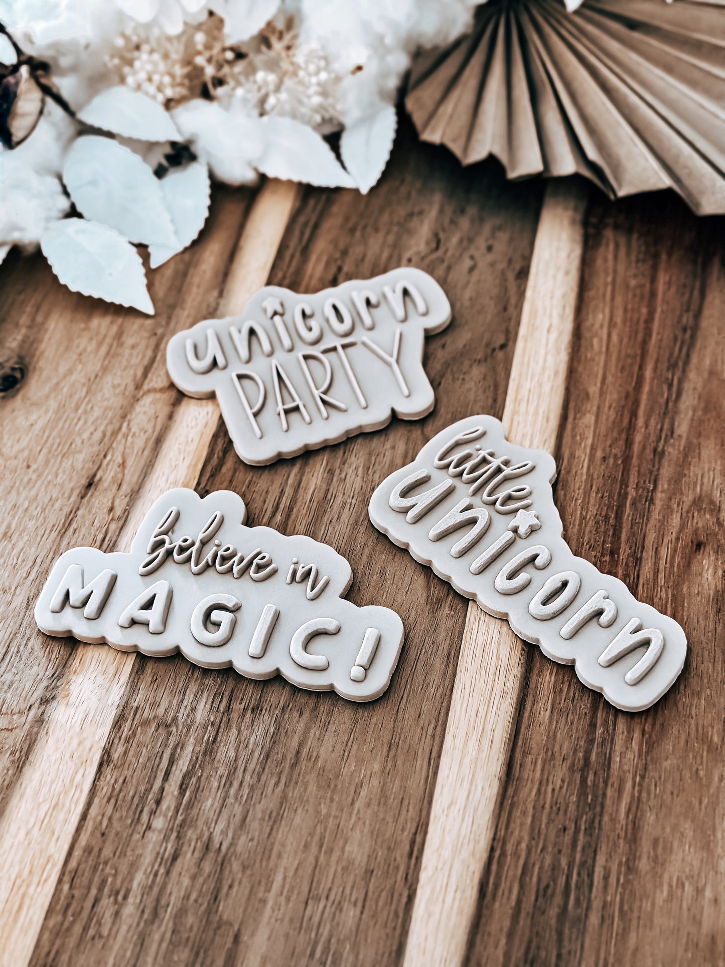 Believe In Magic 'UP' design stamped in fondant to show the finished cookie