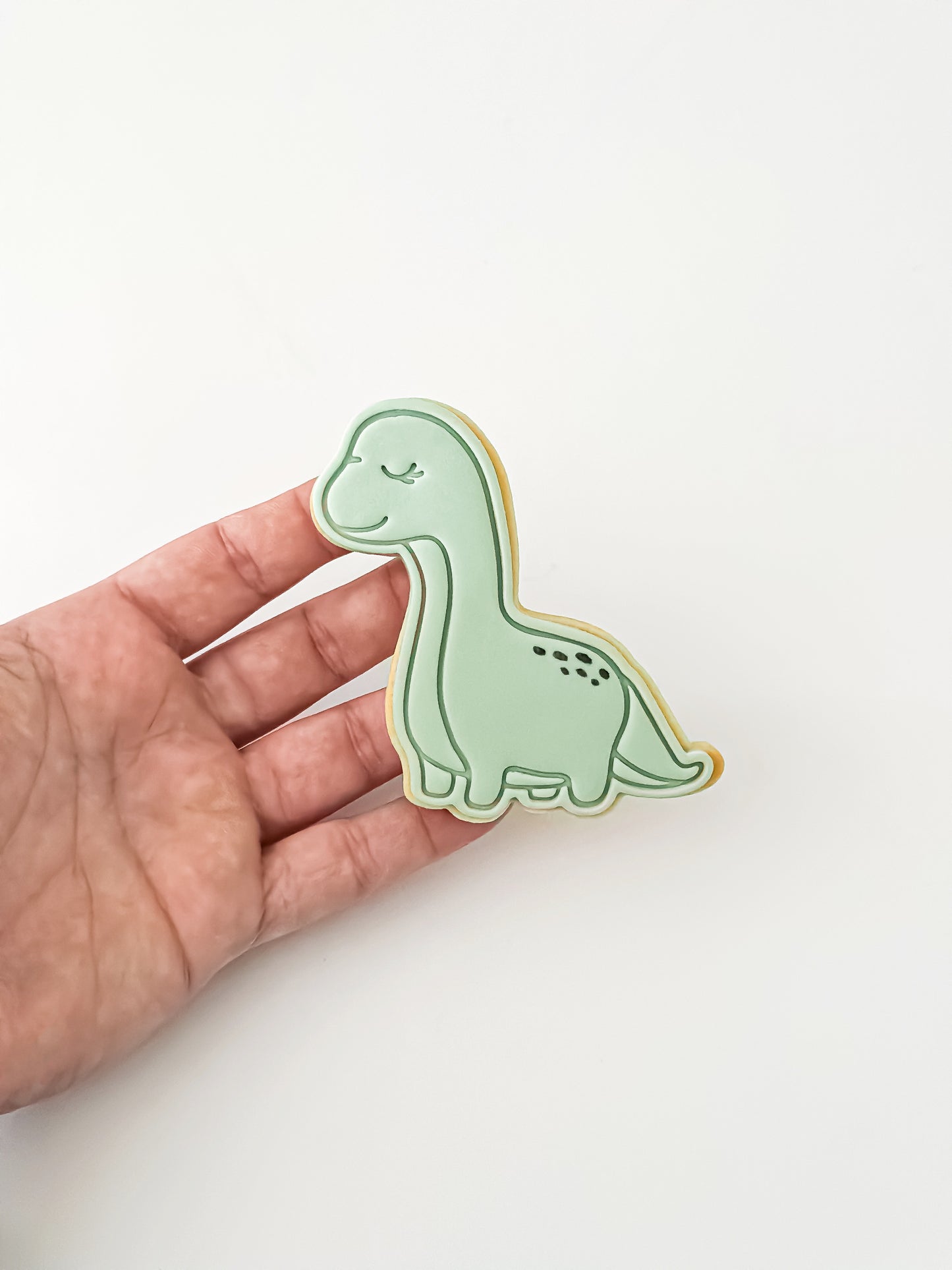 Dino (Roarr) Dinosaur Range - Premium Stamp & Cutter from O'Khach Baking Supplies - Just $19.00! Shop now at O'Khach Baking Supplies
