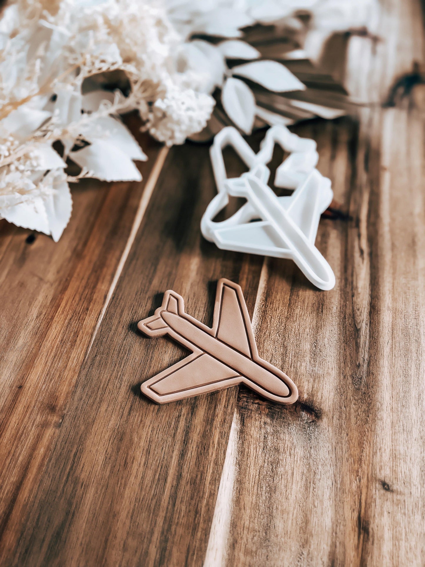 Airplane - Cookie Stamp and Cutter - Ideal for Fondant & Sugar Cookies