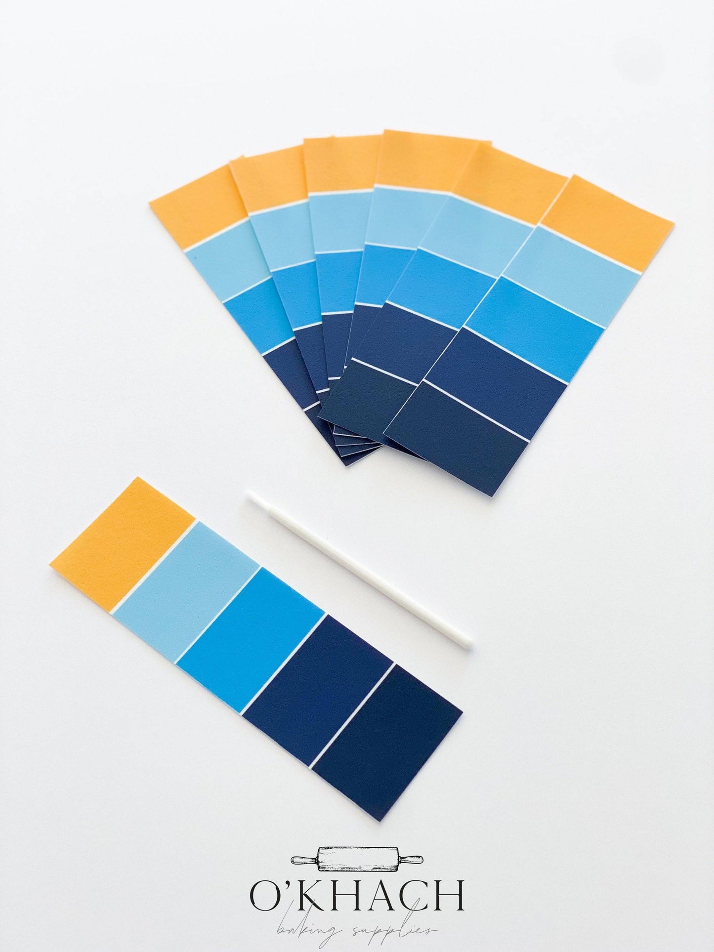 BLUEY Edible Paint Palettes – PYO Cookie Decorating Kits