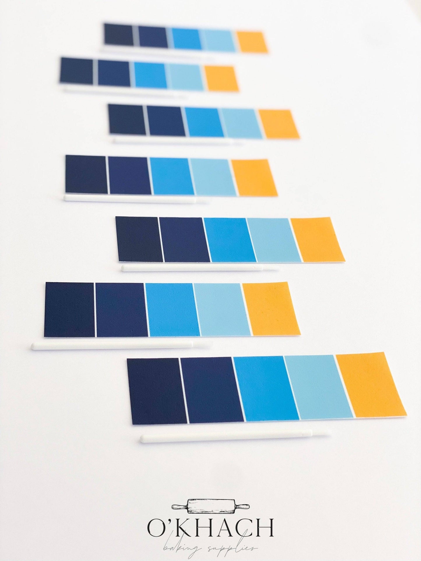 BLUEY Edible Paint Palettes – PYO Cookie Decorating Kits