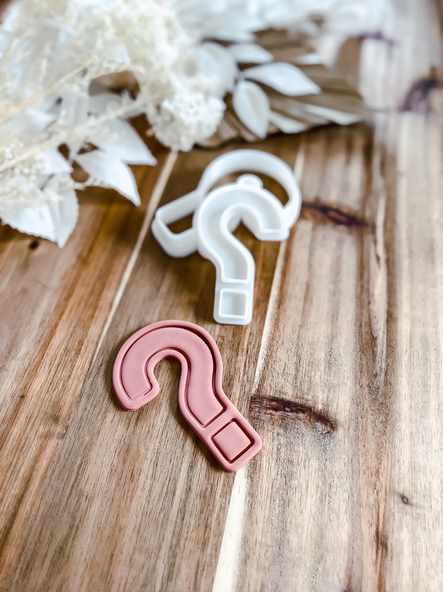 Question Mark Stamp and Cutter - Perfect for Fondant & Sugar Cookies