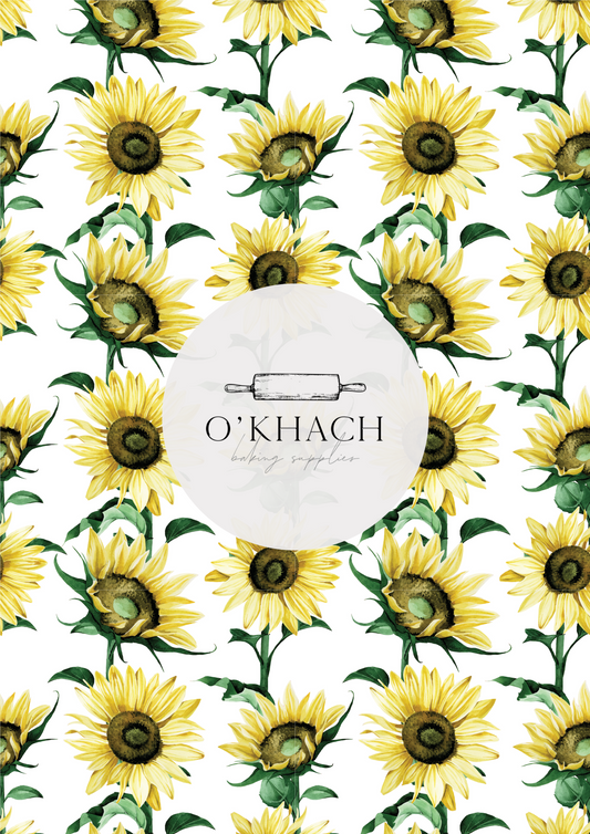 Tropical Watercolour Pattern No.51 - Edible Image - Premium Edible Image from O'Khach Baking Supplies - Just $16.99! Shop now at O'Khach Baking Supplies