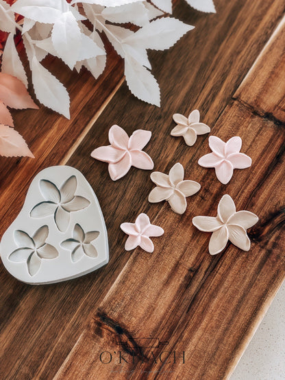 Frangipani Flower - Silicone Mould - Perfect for Fondant, Chocolate, & Cake Decorating