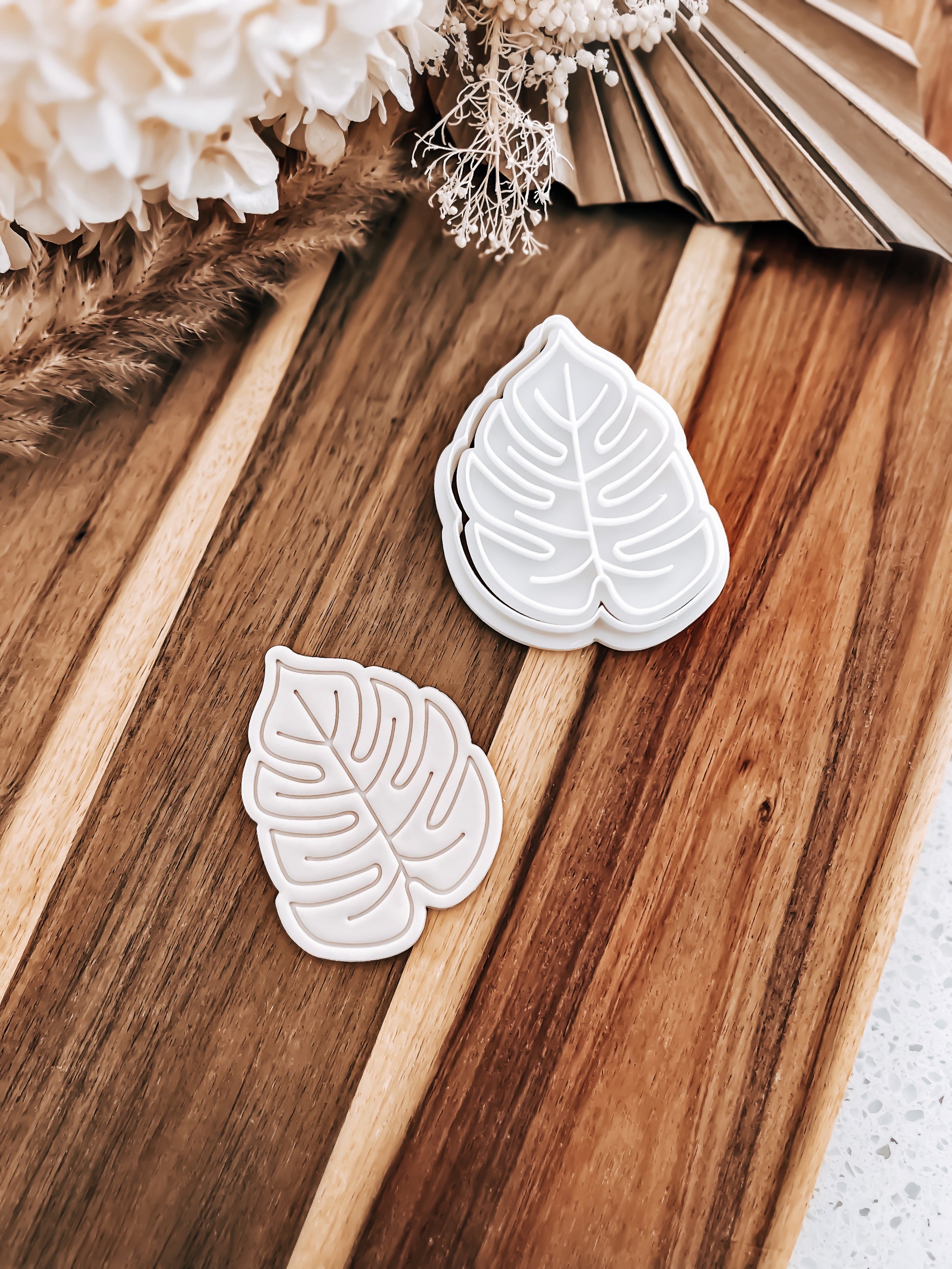 Monstera Single Leaf Cookie Stamp & Cutter - Premium Cutter and Stamp from O'Khach Baking Supplies - Just $18.00! Shop now at O'Khach Baking Supplies