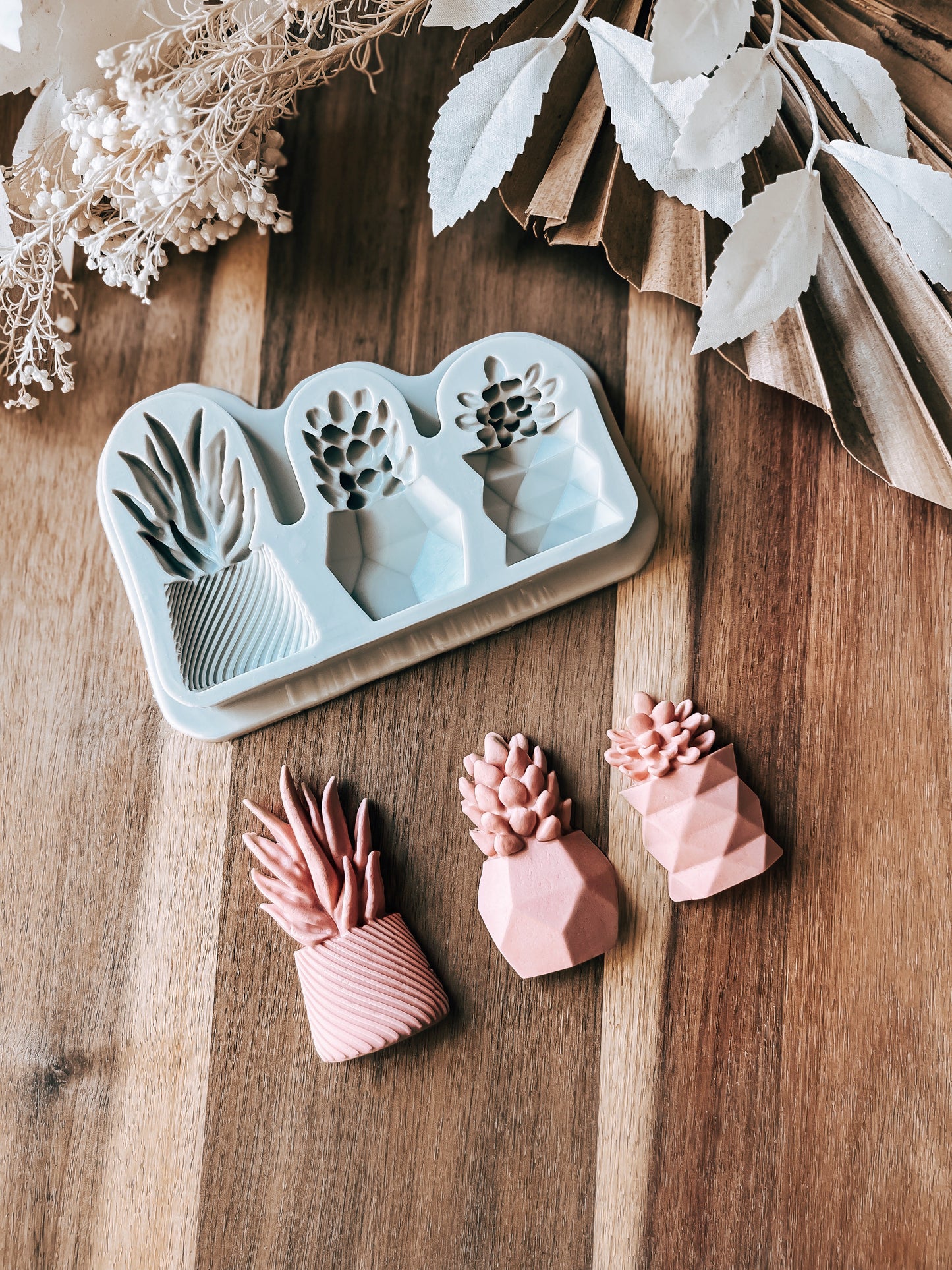 Succulents Silicone Mould - Premium Moulds from O'Khach Baking Supplies - Just $13.99! Shop now at O'Khach Baking Supplies